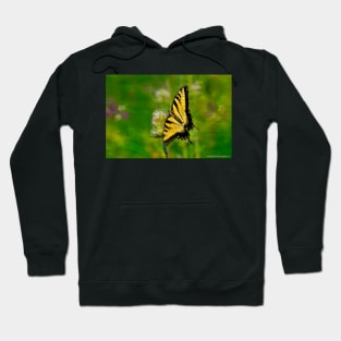 A Moment in Time Hoodie